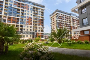 Изображение 8