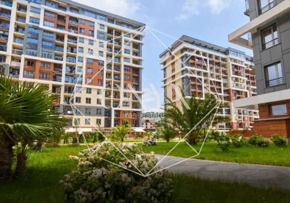 Изображение 8