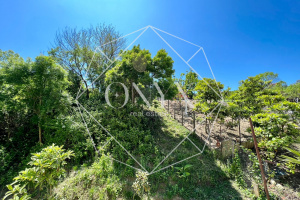 Изображение 12