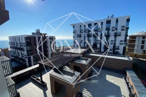 Изображение 13