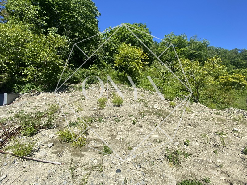 Изображение 14