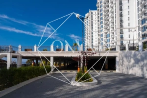 Изображение 16