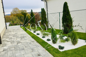 Изображение 18