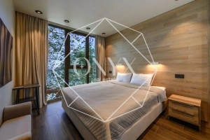 Изображение 12