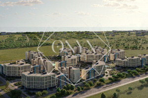 Изображение 11