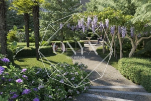 Изображение 28