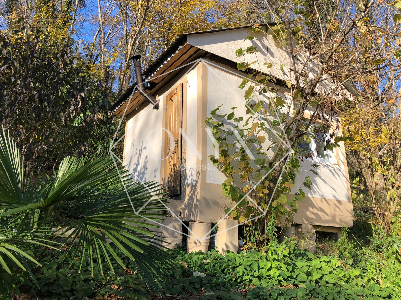 Изображение 20