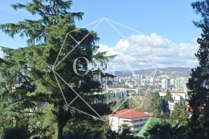 Изображение 15