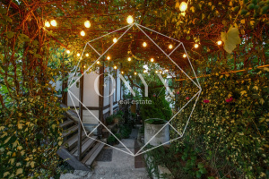 Изображение 26