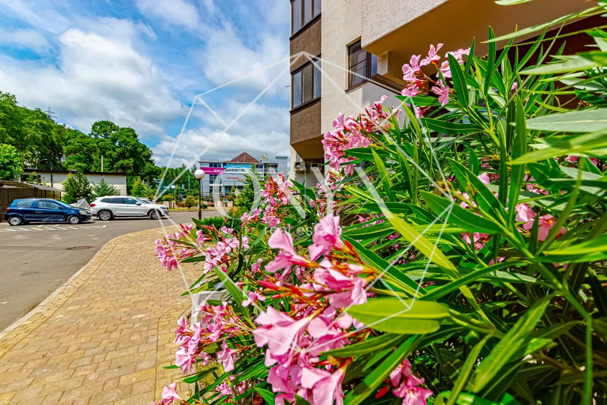 Изображение 47