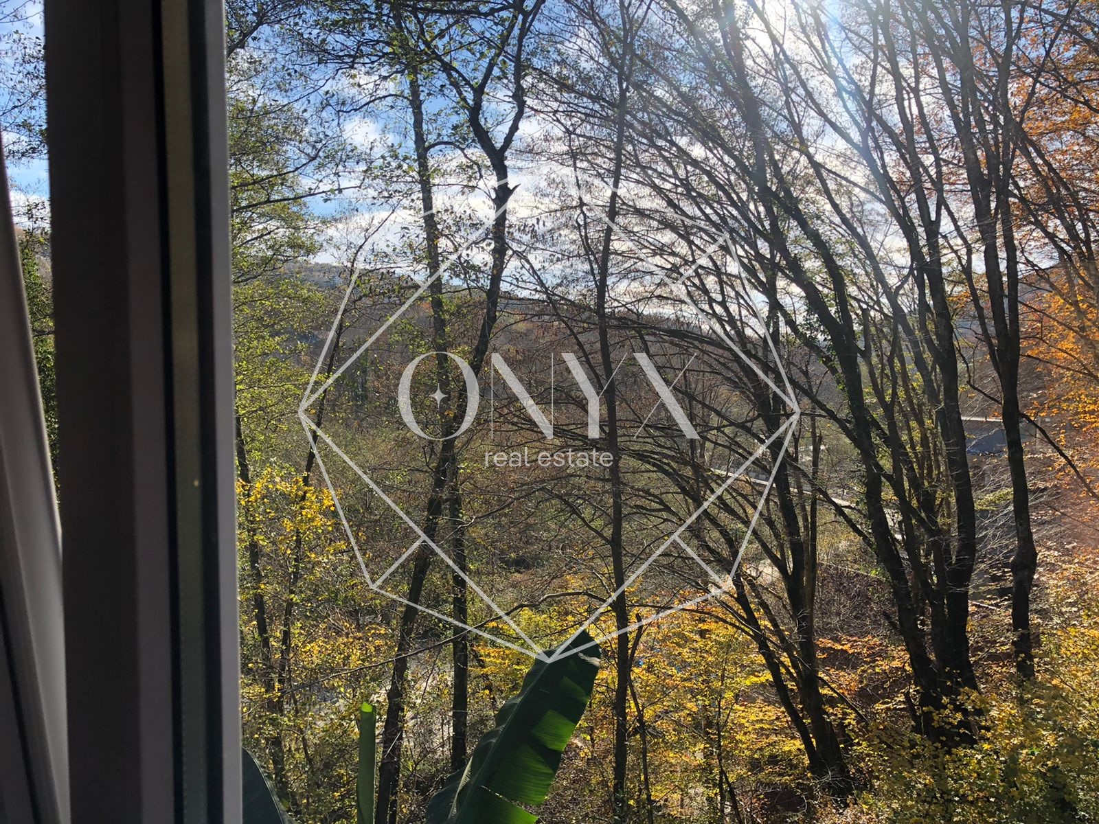 Изображение 13