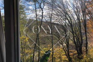 Изображение 13