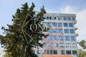 Изображение 11