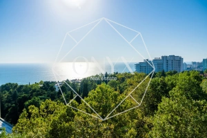 Изображение 23