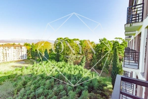 Изображение 8