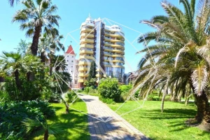 Изображение 14