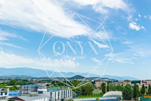 Изображение 12