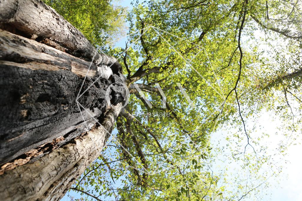 Изображение 15