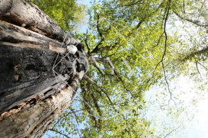 Изображение 15