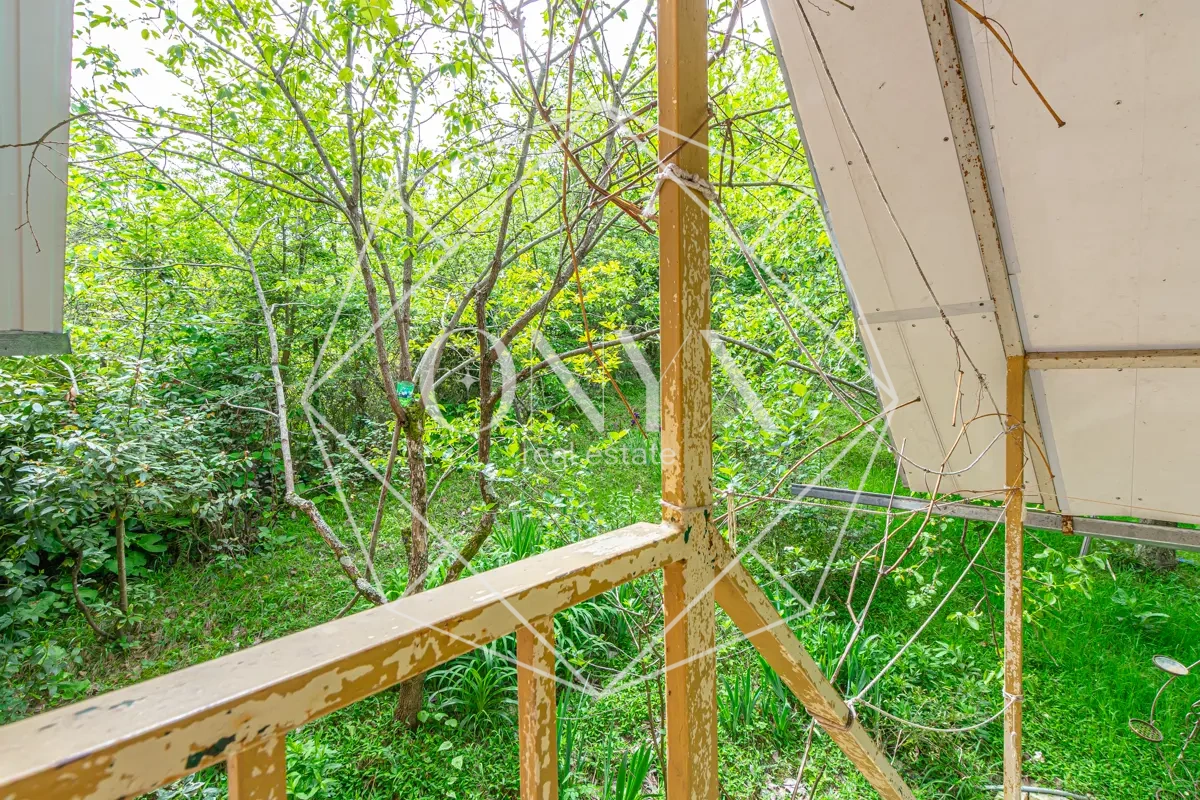 Изображение 12