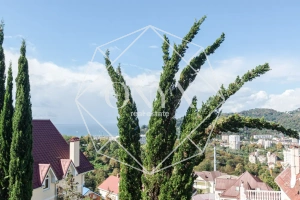 Изображение 53