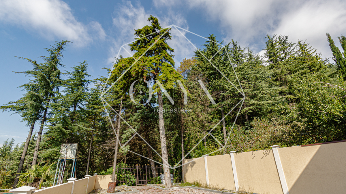 Изображение 13