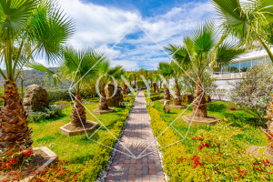 Изображение 15