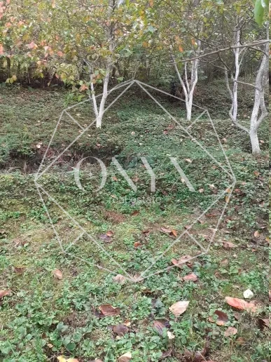 Изображение 14