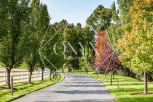 Изображение 29