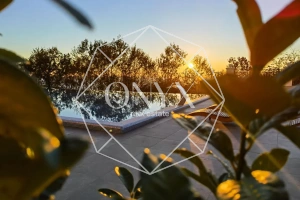 Изображение 19