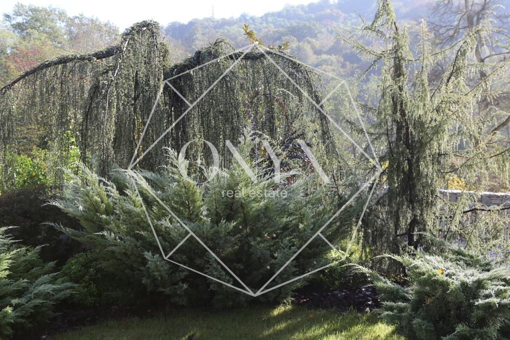 Изображение 13