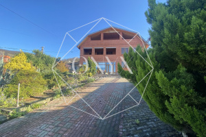 Изображение 12