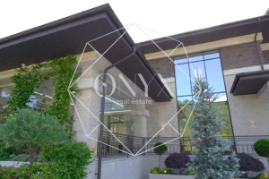 Изображение 12