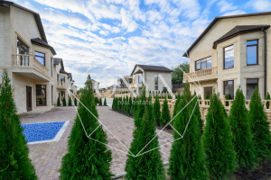 Изображение 8