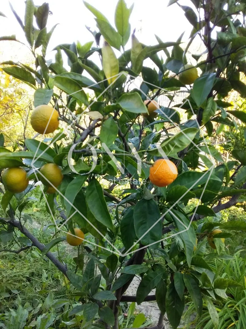 Изображение 14