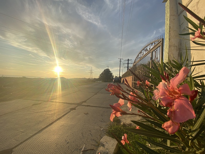 Изображение 19