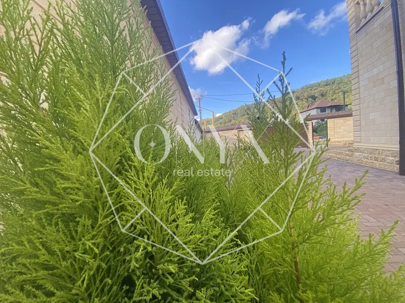 Изображение 20