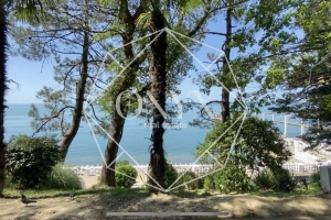 Изображение 15