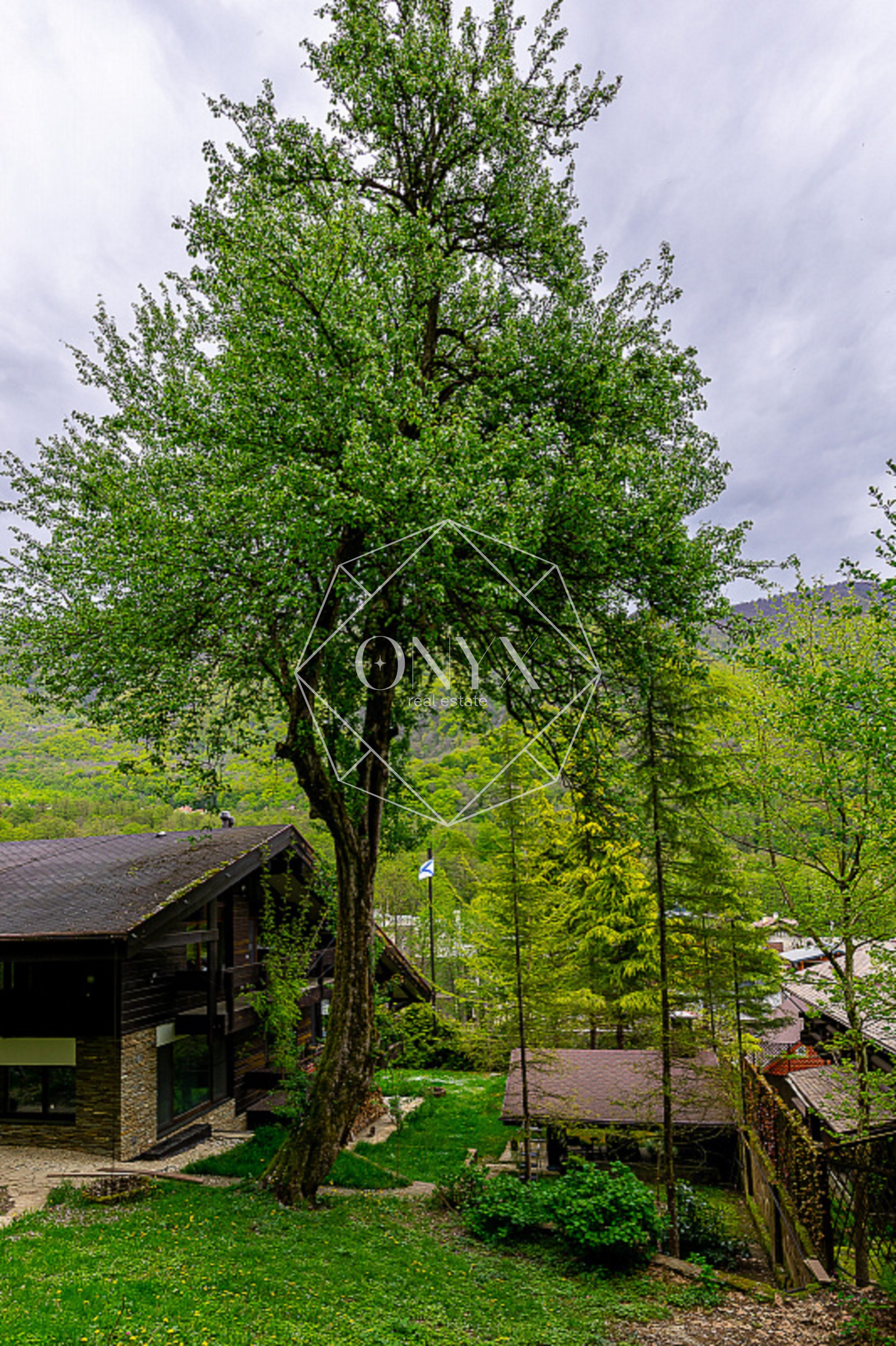 Изображение 25