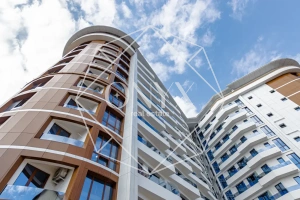 Изображение 36