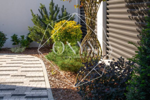 Изображение 12