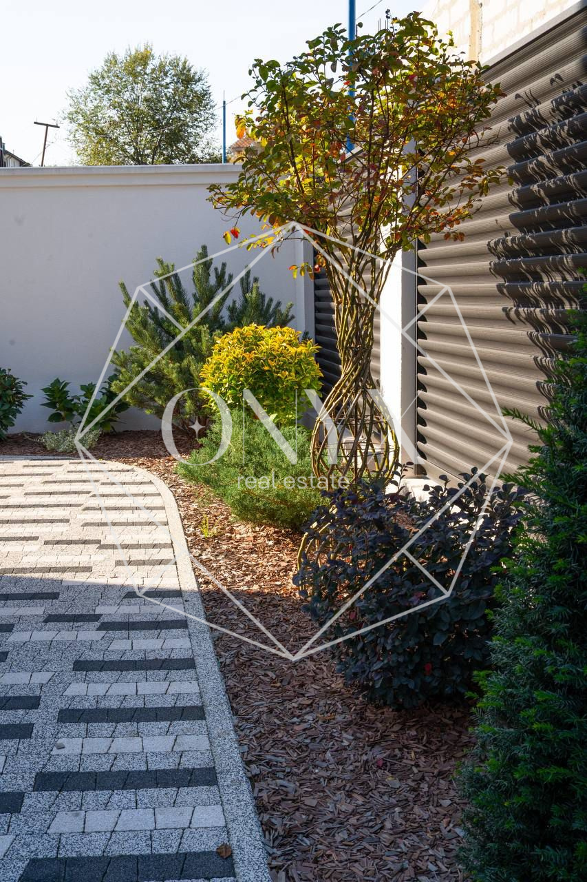 Изображение 12