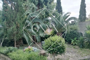 Изображение 10