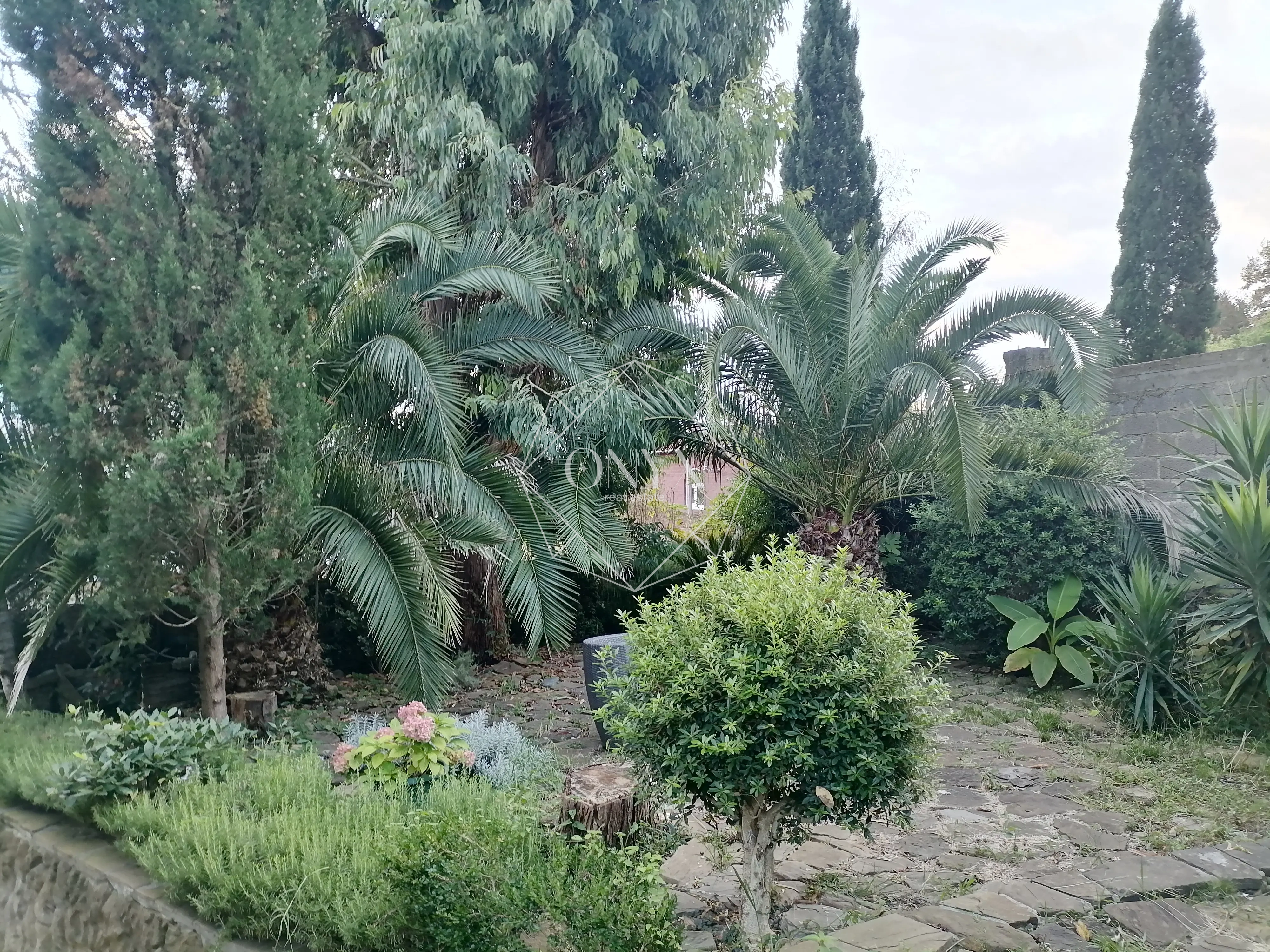 Изображение 10