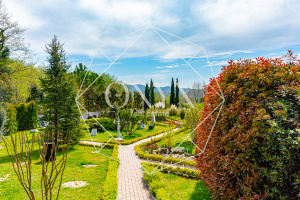 Изображение 17