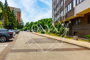 Изображение 25