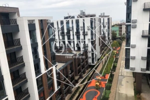 Изображение 13