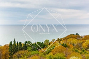 Изображение 12