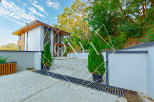 Изображение 17