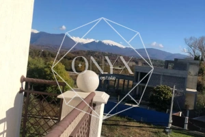 Изображение 15